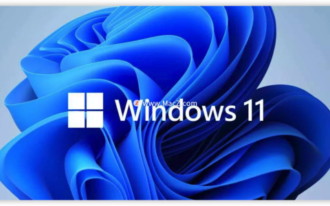 iis10.0express可以卸載嗎
